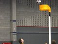 Geelse-KCOV21-02-2010078 (Large)